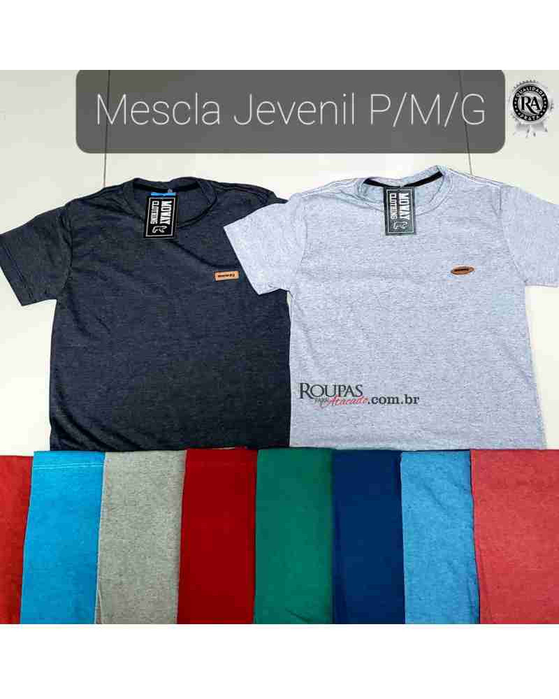 Camiseta Mescla Juvenil Masculina